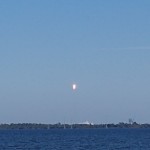 USA 5